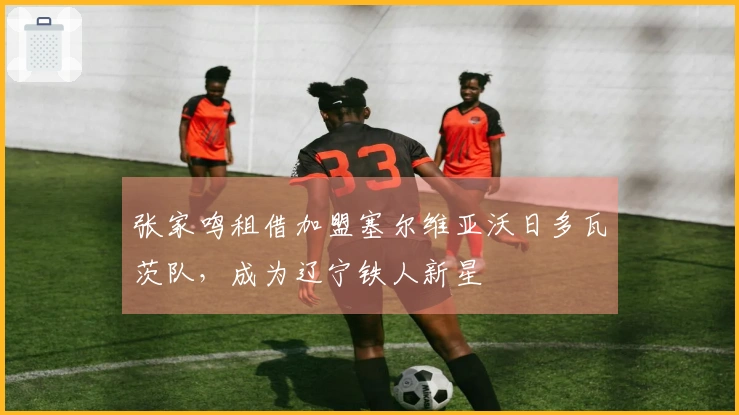 张家鸣租借加盟塞尔维亚沃日多瓦茨队，成为辽宁铁人新星