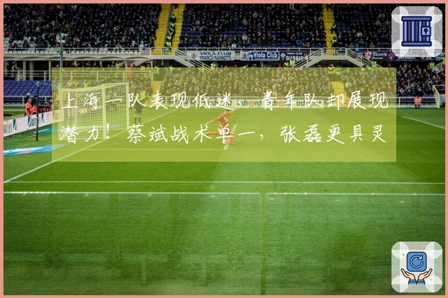 上海一队表现低迷，青年队却展现潜力！蔡斌战术单一，张磊更具灵活性