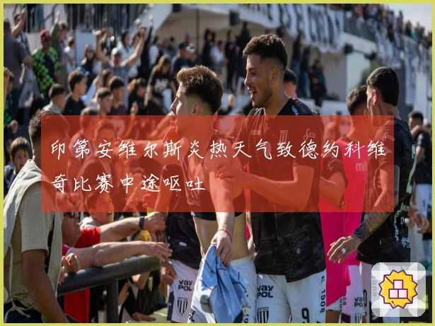 印第安维尔斯炎热天气致德约科维奇比赛中途呕吐